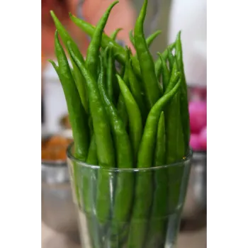 green chilli  (26)-5173659-59469.webp